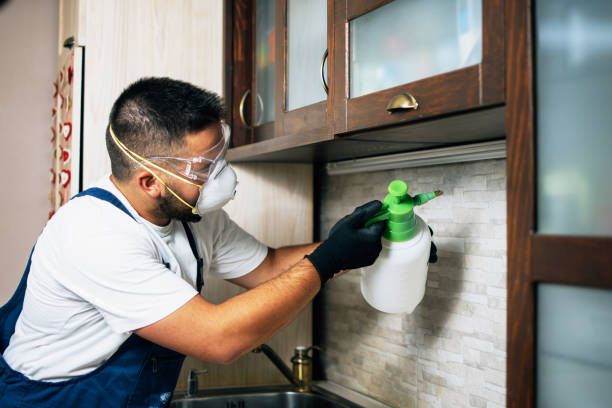 Best Local Pest Control Services  in Otis Orchards East Farms, WA