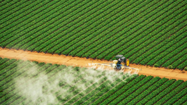 Professional Pest Control in Otis Orchards East Farms, WA